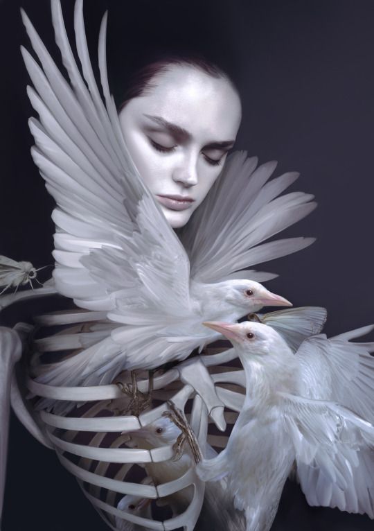 Photoart tweet media