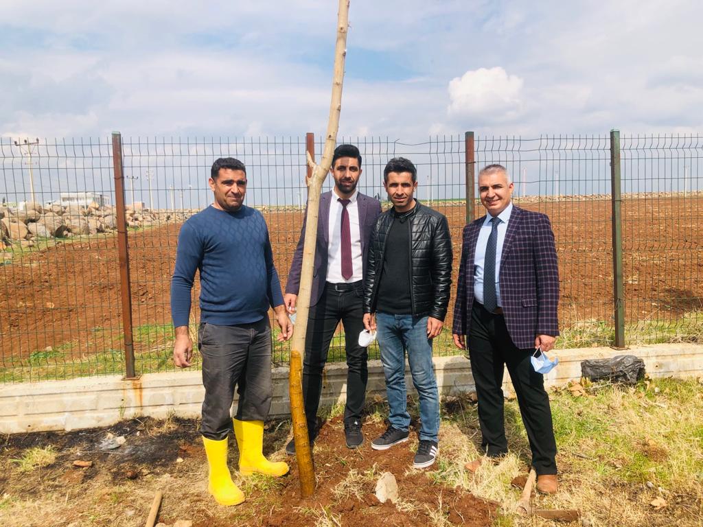 Ağaçlı bahçelerde bir okul varmış bu memleketin. Penceresinde çiçekler, bahçesinde  şenlikler. 🏫☺️
@ibrahim_Yagan63 
<a href="/sinanc_n/">sinanC_A_N</a>
<a href="/omerdereci/">Ömer Dereci</a>