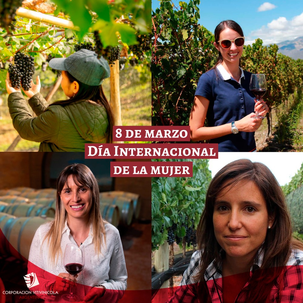 DÍA INTERNACIONAL DE LA MUJER

Hoy queremos saludas y acompañar a todas las mujeres en su día, especialmente a cada una de ellas que trabajan arduamente en las distintas etapas de la cadena vitivinícola 🍇.

#8M2021