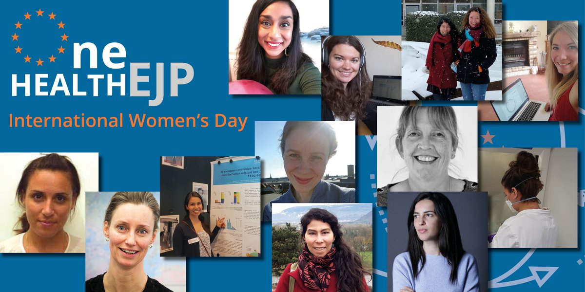 Celebrating all of the wonderful, talented and successful #women who are part of the #OneHealthEJP

#InternationalWomensDay #WomensDay #WomenInScience #WomenInSTEM #internationalwomensday2021 #OneHealth #StrongerTogether #Health