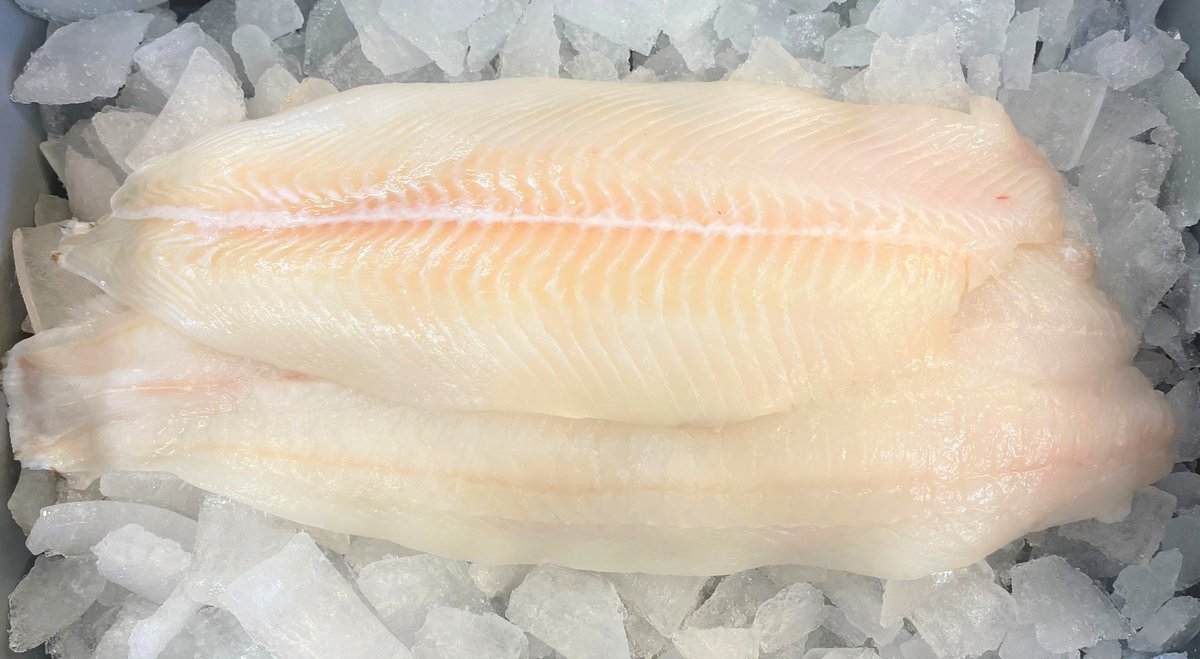 Downies  Fish tweet media