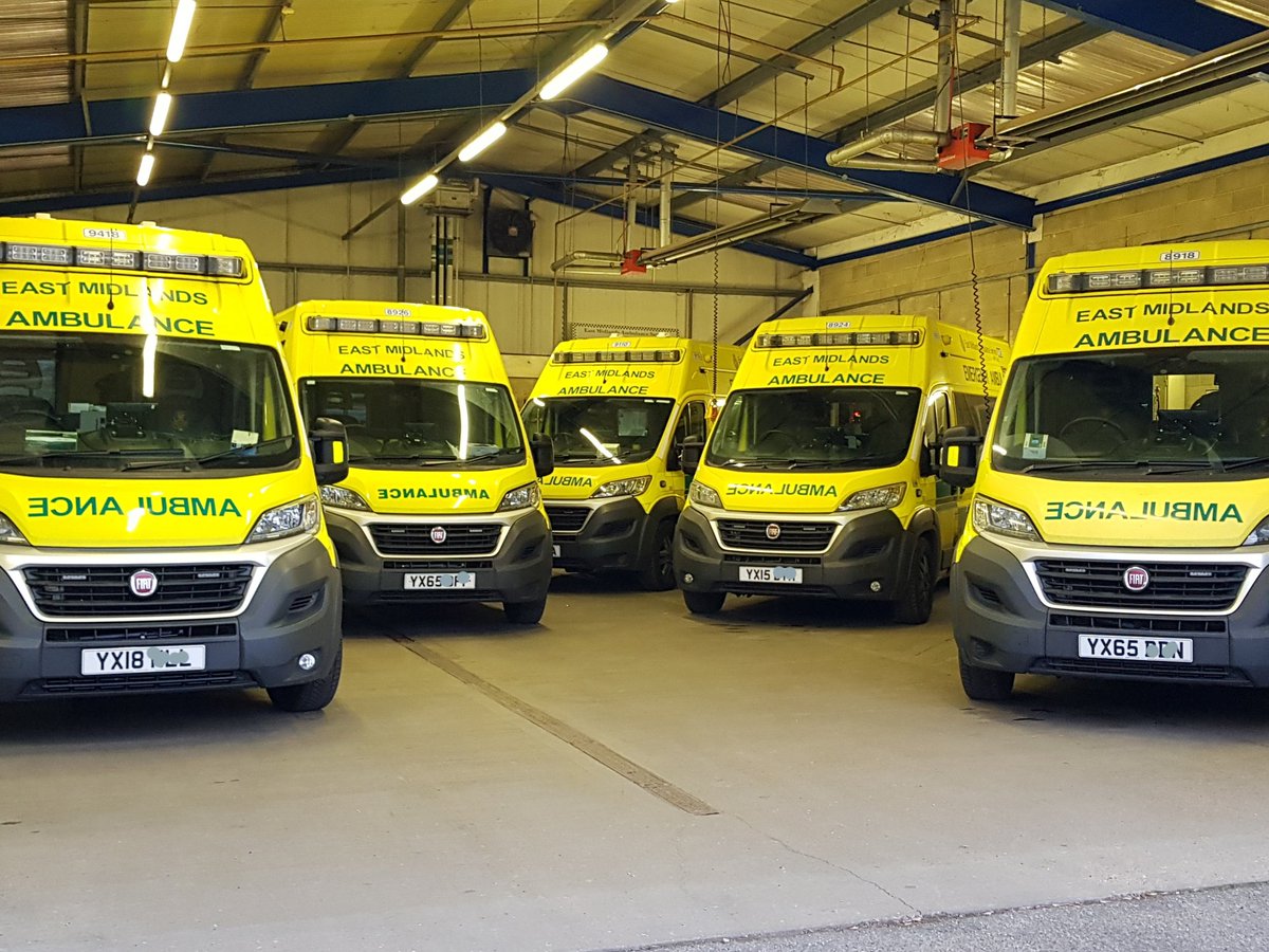 Tamsin Ryan 💙 tweet media