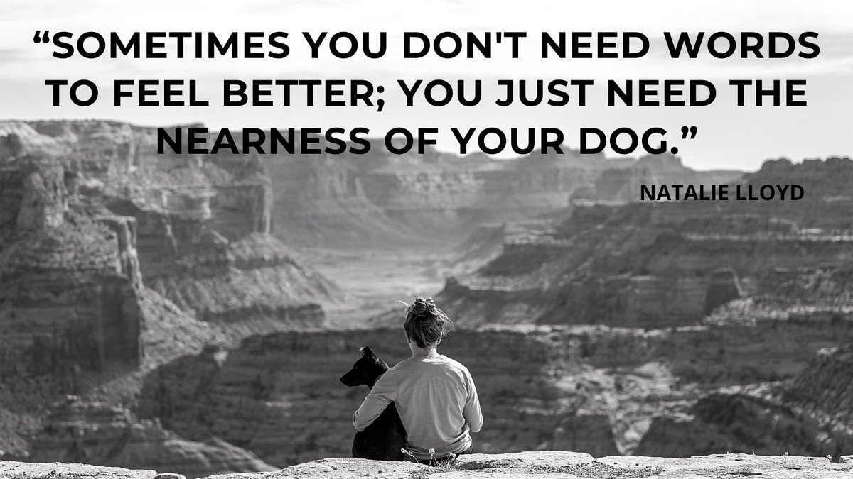 Witty_PETCARE's tweet photo. Whoever said that diamonds are a girls best friend, never owned a dog.

#dogs #dogsoftwitter #DogLover #dogsarethebest #dogsarelove #dogsarefamiliy #Puppies #puppylove #doglife #dogoftheday #pets #InternationalWomensDay #mondaythoughts #MondayMotivation https://t.co/DBUWYgUMqv