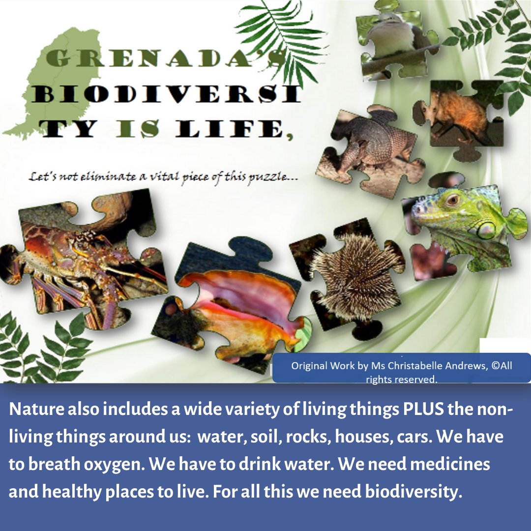 Min for Climate Resilience and Environment Grenada tweet media