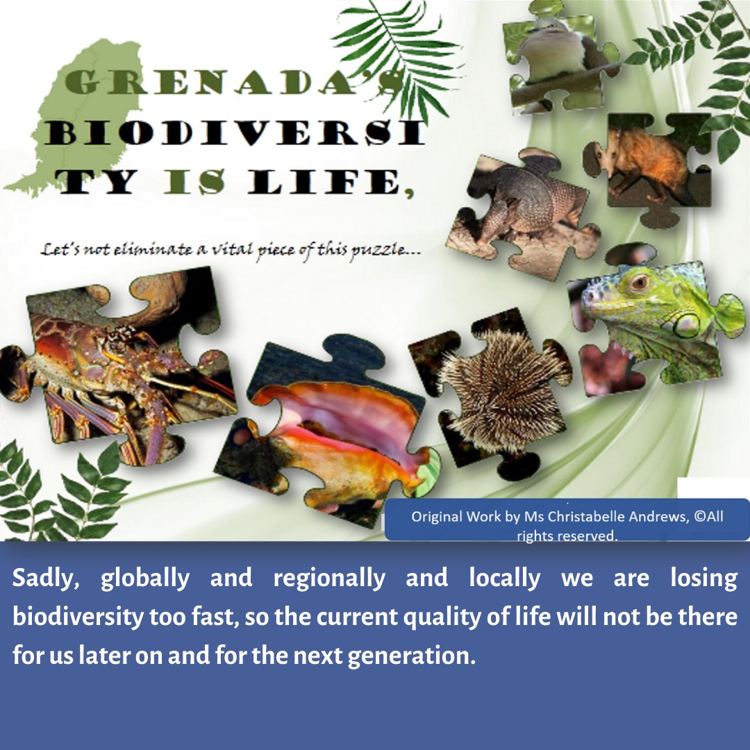 Min for Climate Resilience and Environment Grenada tweet media