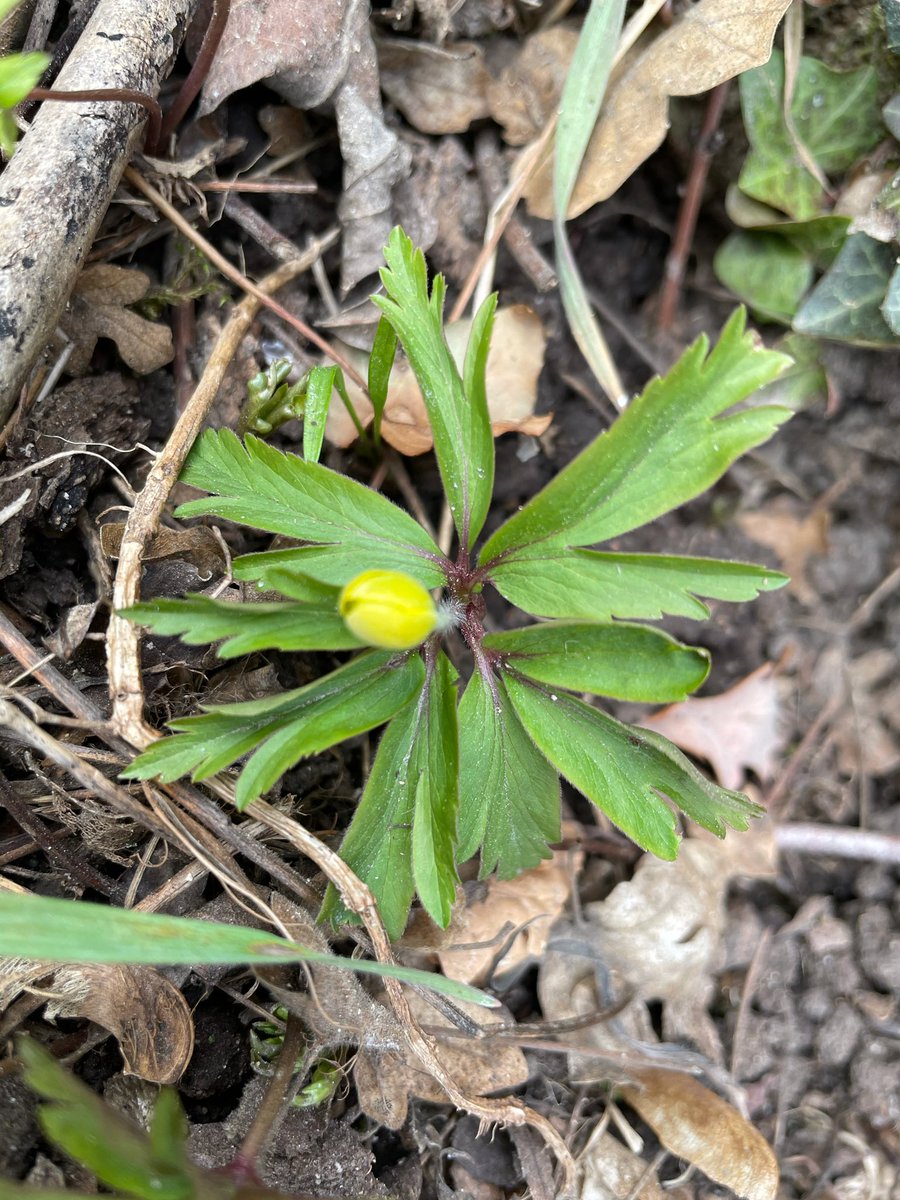 Volgens mij is het voorjaar!