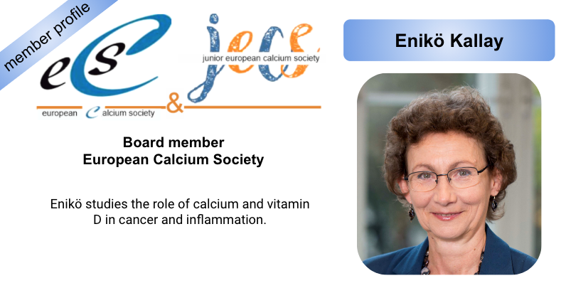 EuroCalcium's tweet photo. Introducing ECS board member Enikö Kallay (MedUni, Vienna): One of our favorite #WomenInSTEM with an unusual career path and ever-present engagement with the young! Great inspiration! #ECSmemberprofile #InternationalWomensDay #IWD2021 @MedUni_Vienna https://t.co/PbMt9QTBd5