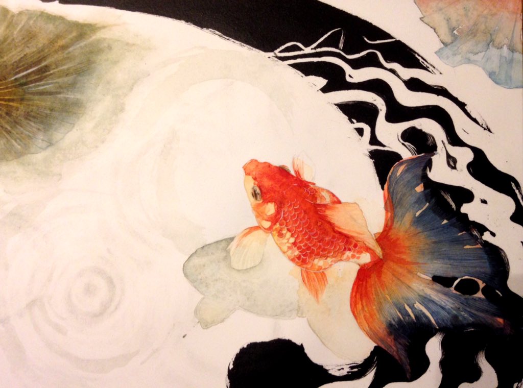 fish no humans goldfish animal focus painting (medium) traditional media animal  illustration images