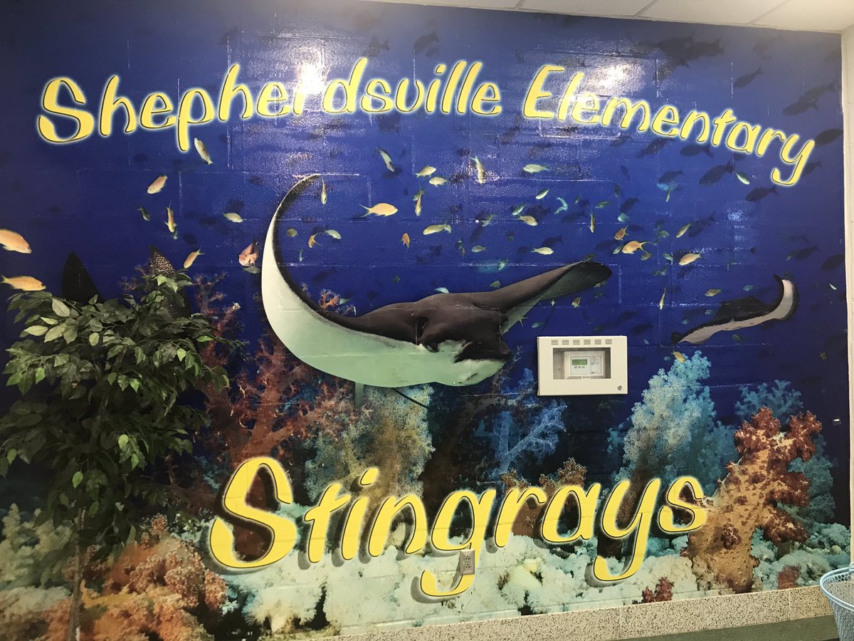 Coming soon......#TheStingrayWay..