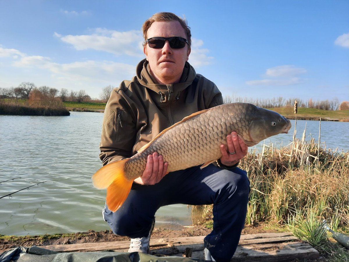 TurtleSpewing's tweet image. Caught this guys yesterday 17lb on the nose well pleased with it 

#carpfishing #twitch #twitchstream #twitchstreamer #smallstreamer #SmallStreamerCommunity