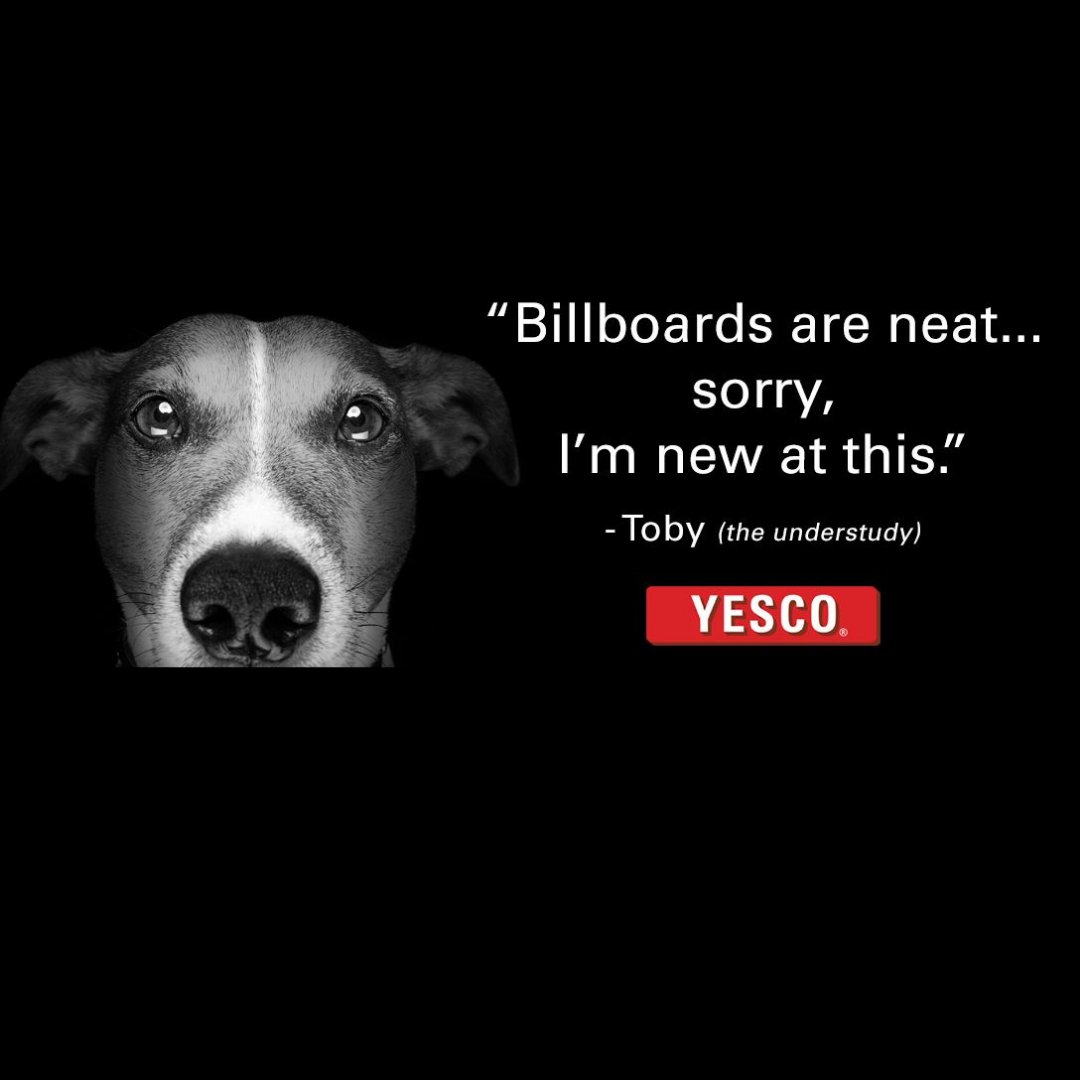 MonroeBillboard's tweet photo. Toby here again! And I’m here to make it simple for you. 62% of people notice digital billboards in the past month*. It’s time for you to make the leap!

(*data provided by https://t.co/sypaiWsadb) https://t.co/7jRUxd8YBY