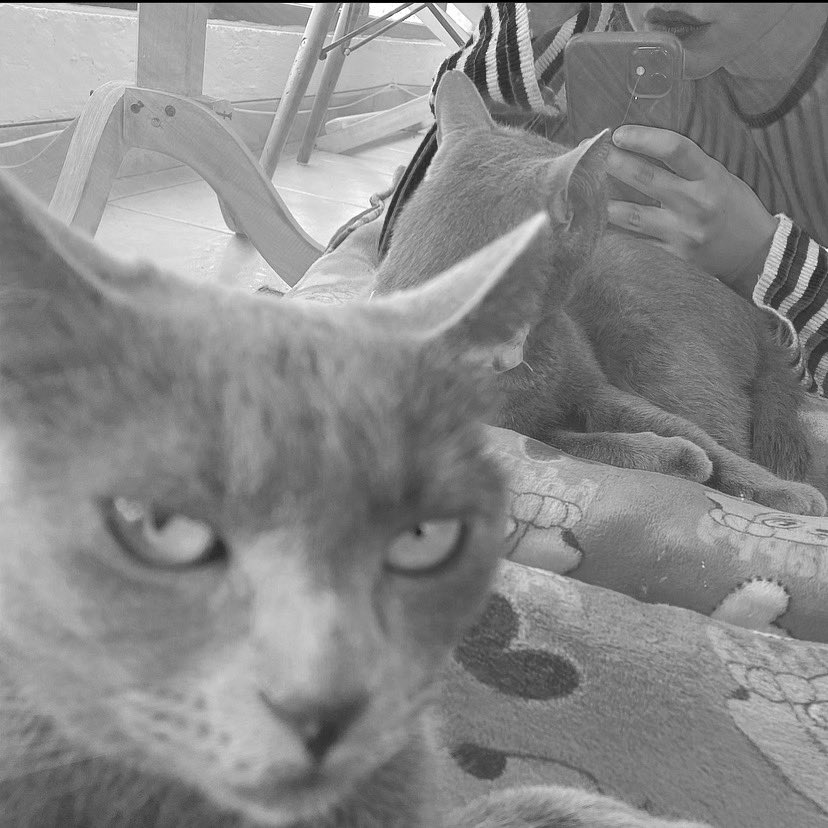 Un espejo de cristal 
Y mírate y mírate 🪞