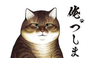 я цусима кот. адмирал рожественский зиновий петрович. я цусима аниме кот. цусимское сражение вице адмирал. вторая тихоокеанская эскадра россии 1904.