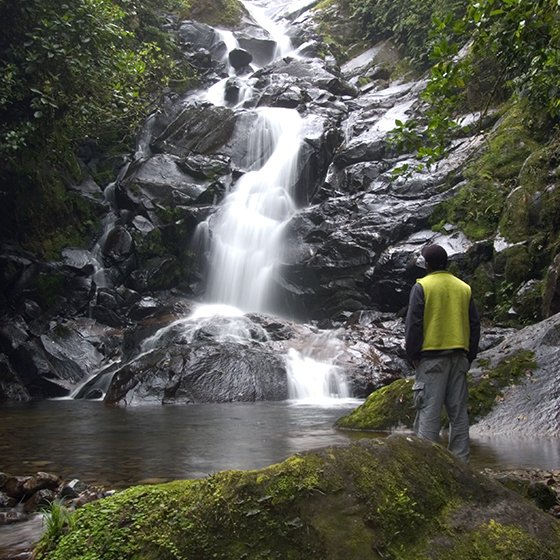 🇬🇧Our #adventures in #Panama
🇩🇪Unsere #Abenteuer in Panama
🇪🇸Nuestras #aventuras en #Panama
© PILA ATP
#adventuretravel #outdooractivities #travelpanama #chiriqui #naturetravel #wasserfall #naturreisen #visitpanama #naturetours #meettheglobe