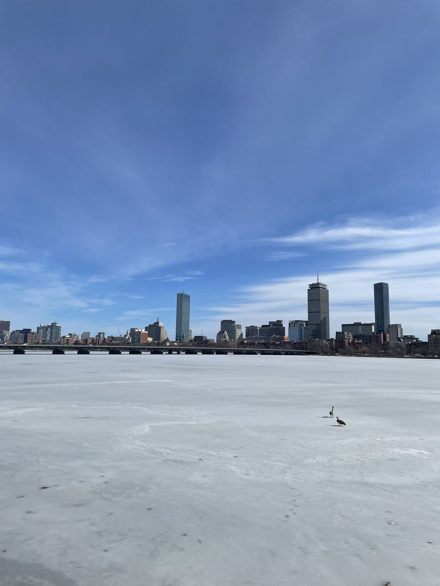 juanph19's tweet photo. Two ducks walking in the river. Yes, two ducks WALKING in the river. #BostonWinter #winter https://t.co/cxTwTIb8vt