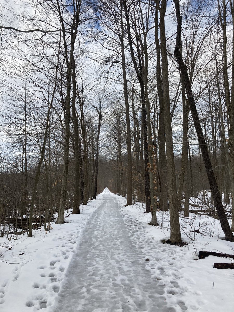 Walking the Interurban Trail at the @GeaugaParks’ The Rookery.  🌳 

geaugaparkdistrict.org/park/the-rooke…

Packed snow covered trail in #GeaugaCounty. ❄️