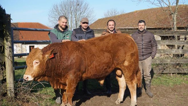 lepopulaire_fr's tweet photo. #Agriculture : en #Charente limousine, quatre éleveurs s'unissent pour acquérir l'un des taureaux les plus chers depuis 30 ans

https://t.co/LY0rhM9TIk https://t.co/4iRIGoXxqC