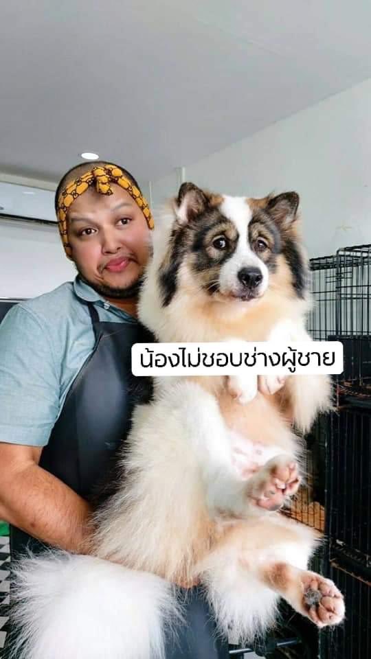 ใครอยากหา made my day ในแต่ละวันแนะนำเพจ “บ้านช่างท็อป ด็อกอาร์ท” นะ ตลกมากกกกก เอ็นดูก็เอ็นดู เพื่อลูกค้าแล้วช่างทำได้ทุกอย่าง 55555555555555555555555555555555555555555555555555555