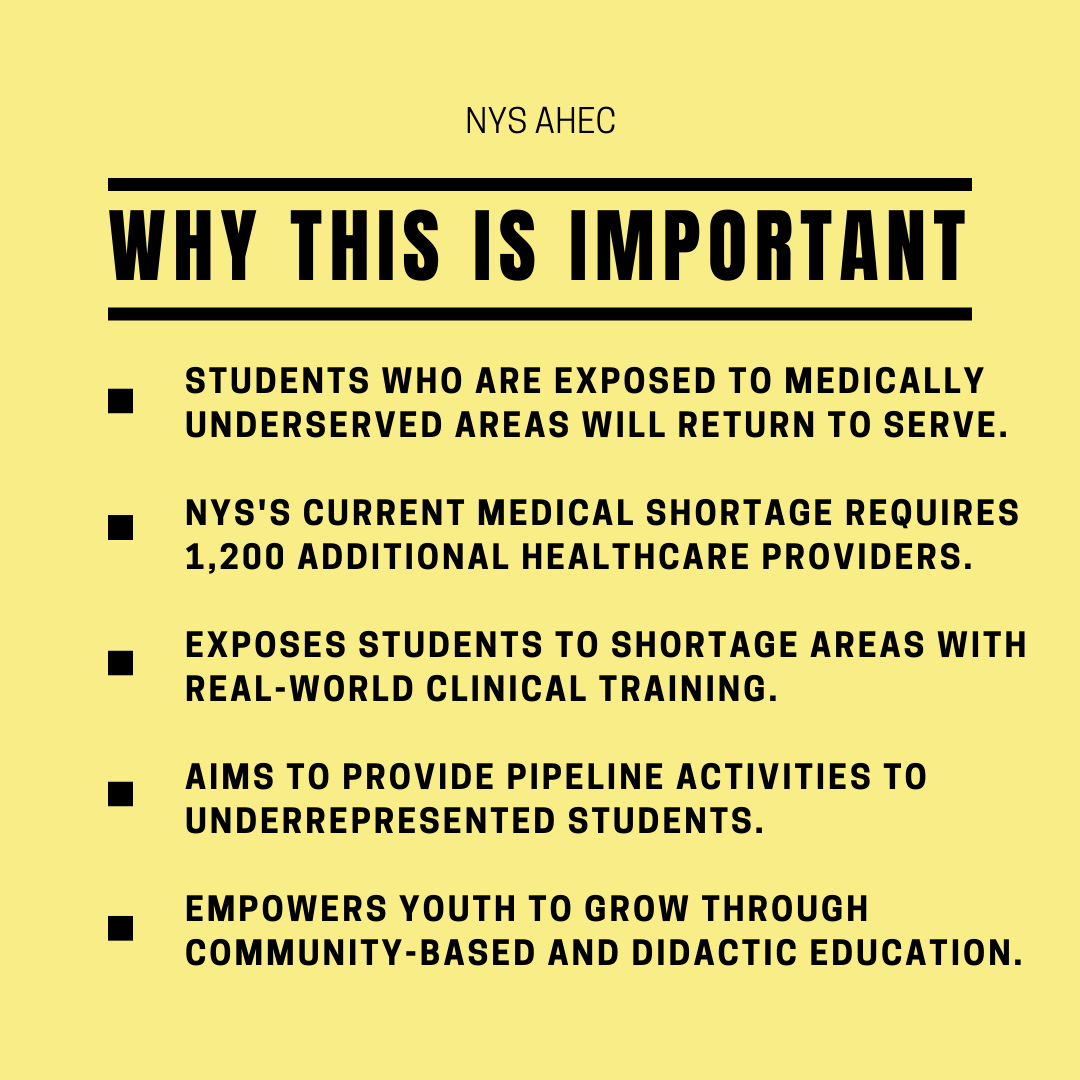 NYS_AHEC's tweet photo. Did you know that 95% of participants in our #AHECScholars program in 2020 showed an interest in working in a medically #underserved area? This is why #NYSAHEC needs to stay funded. #SaveNYSAHEC @SenGillibrand @SenSchumer https://t.co/fFNRhMx9t1