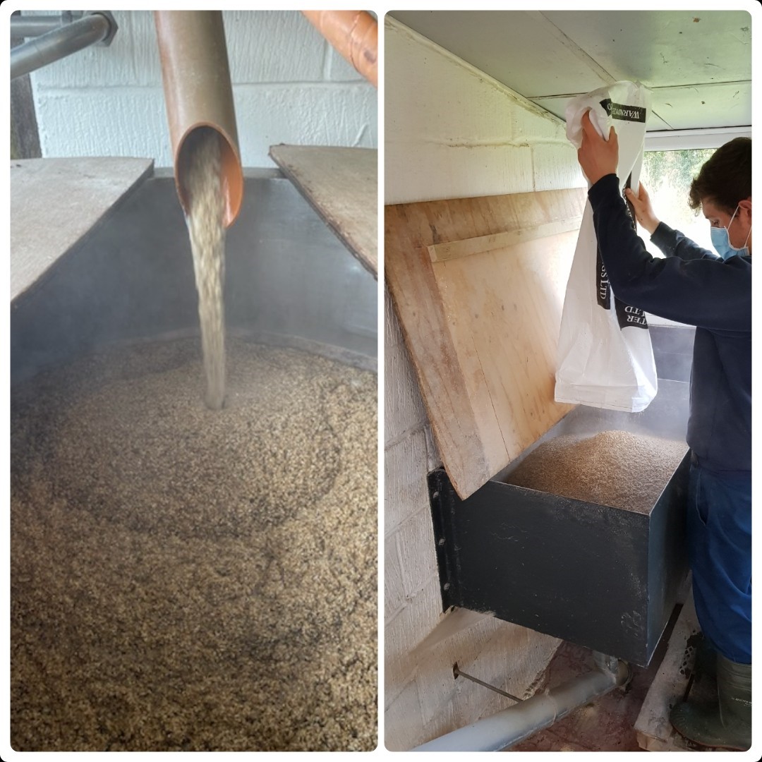 ChilternBrewery's tweet photo. It's that time of year again! 

Our 2021 vintage of Imperial Stout is being brewed today. 

Brewed with 5 different grains and then aged in the bottle, this beer will mature and be ready for sale next winter. https://t.co/OIhsSaTRmx