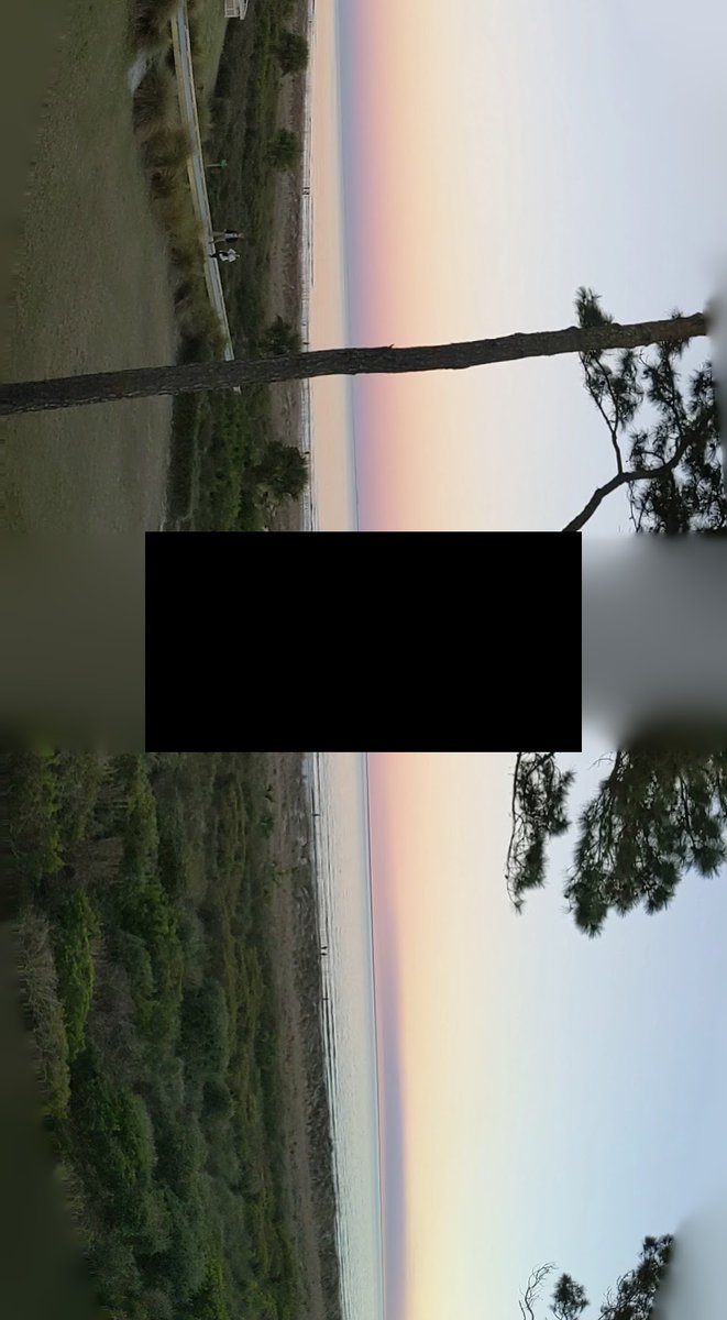 Becky Scheel tweet media