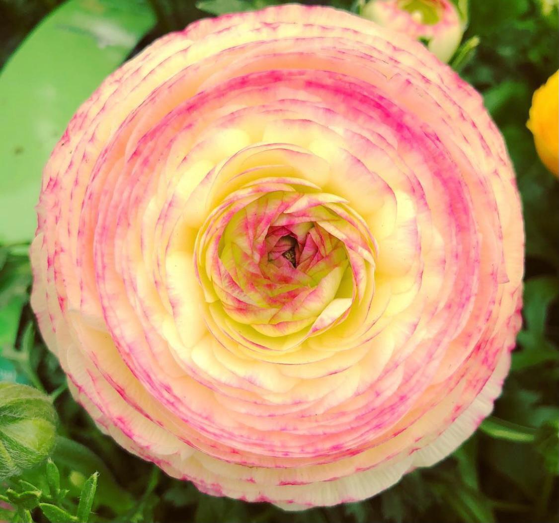 Element Jewellery tweet media