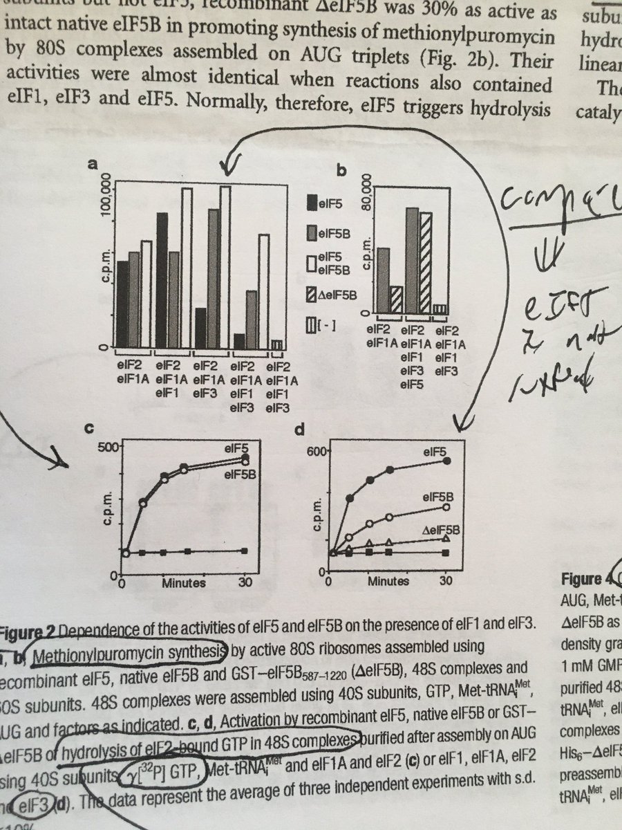 WallaceUcsf's tweet photo. Almost time for #bioreg discussion. This weeks paper seems like it’s about ribosome assembly, but actually it’s about necessary vs sufficient! #UCSFtetrad https://t.co/UBDYjR1YSZ
