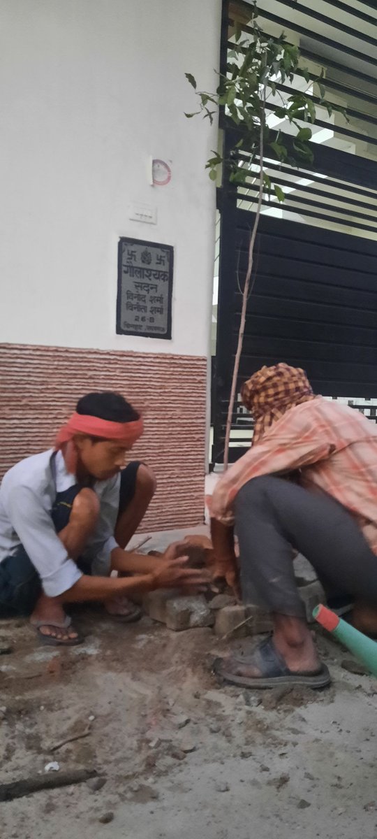 JijiwishaS's tweet image. #CommunityPlanting
#JijiwishaSociety
#NGOsInLucknow
