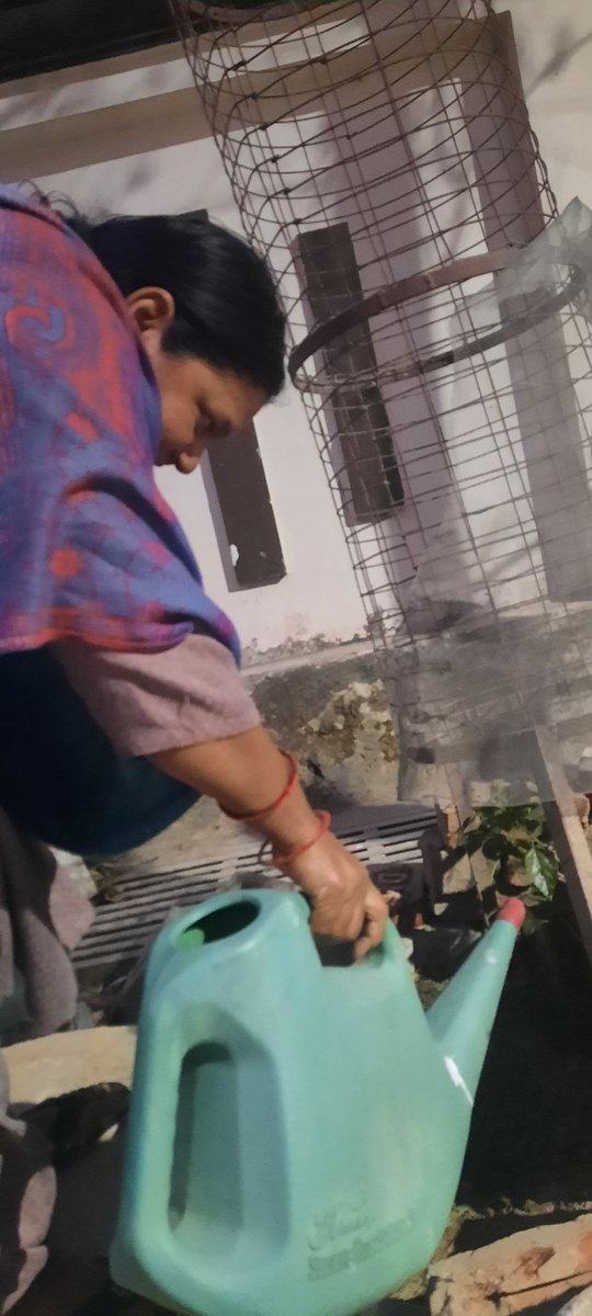 JijiwishaS's tweet image. #CommunityPlanting
#JijiwishaSociety
#NGOsInLucknow