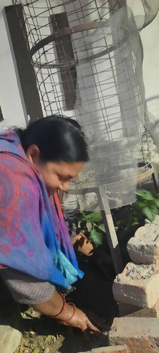 JijiwishaS's tweet image. #CommunityPlanting
#JijiwishaSociety
#NGOsInLucknow