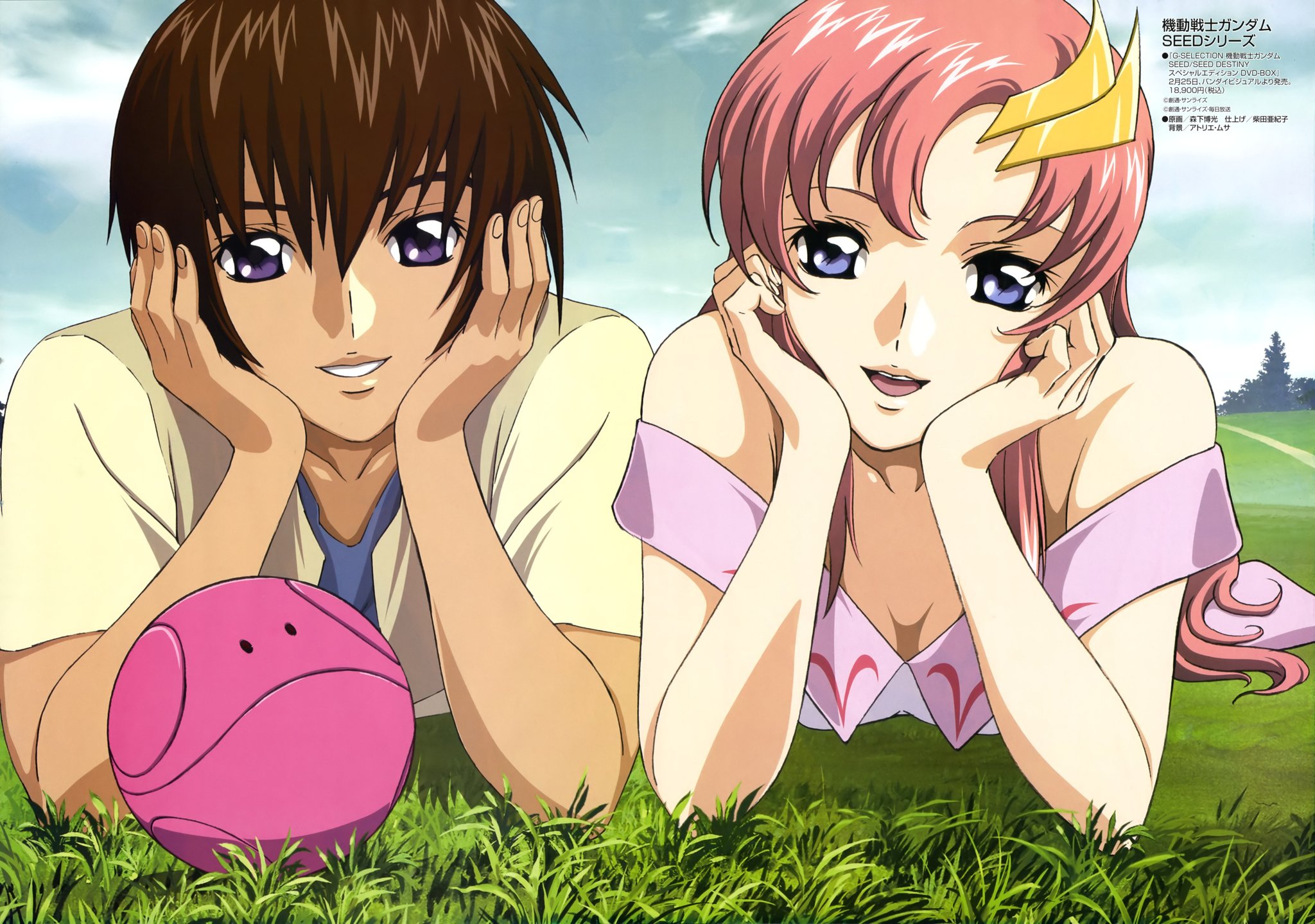 キラ・ヤマト & ラクス・クライン ガンダムSEED キラ・ヤマト