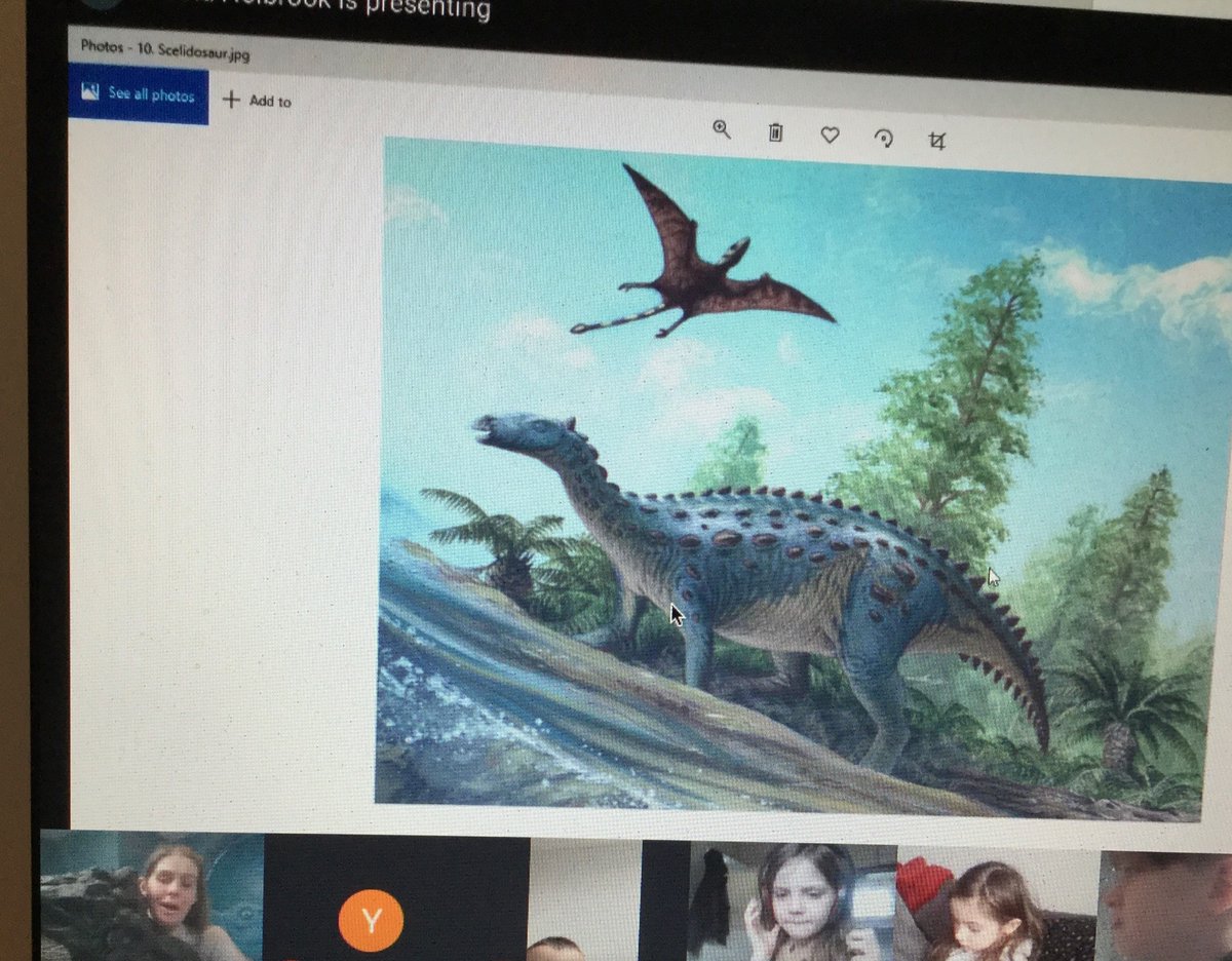 burlingtonjnr's tweet photo. Our pupils in school and home learning really enjoyed our Google Meet @CharmouthHCC today all about fossils and were amazed by some of the really awesome examples and information #fossils #virtualvisitors #awesome https://t.co/S2Q1xWu24y