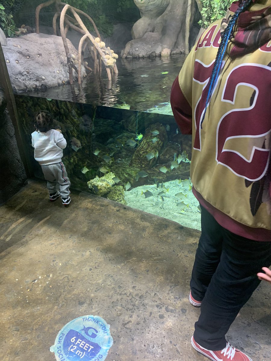 Well needed  time away with family at Atlanta Georgia Aquarium and we had a blast!!!!