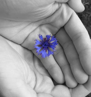 AB Walker Funerals tweet media