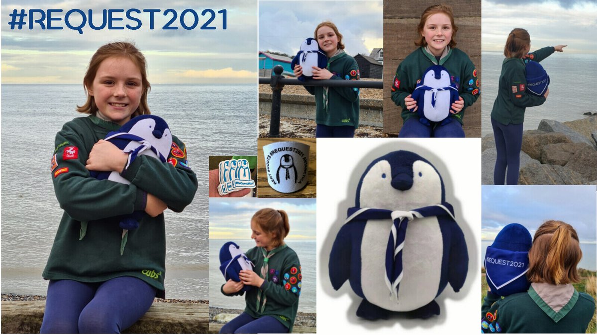 Shackleton The Penguin tweet media