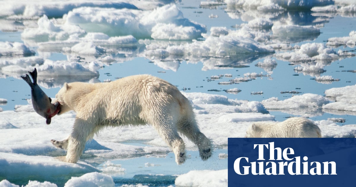_RHResearch's tweet photo. "As the Arctic continues to burn, melt and thaw there will continue to be a cascade of shocks and reverberations." @klausdodds @RHULGeography quoted in an article about Arctic ice loss forcing polar bears to use 4x as much energy to survive @RoyalHolloway https://t.co/RQ6ygUtFuD https://t.co/y2Ka4bvevX