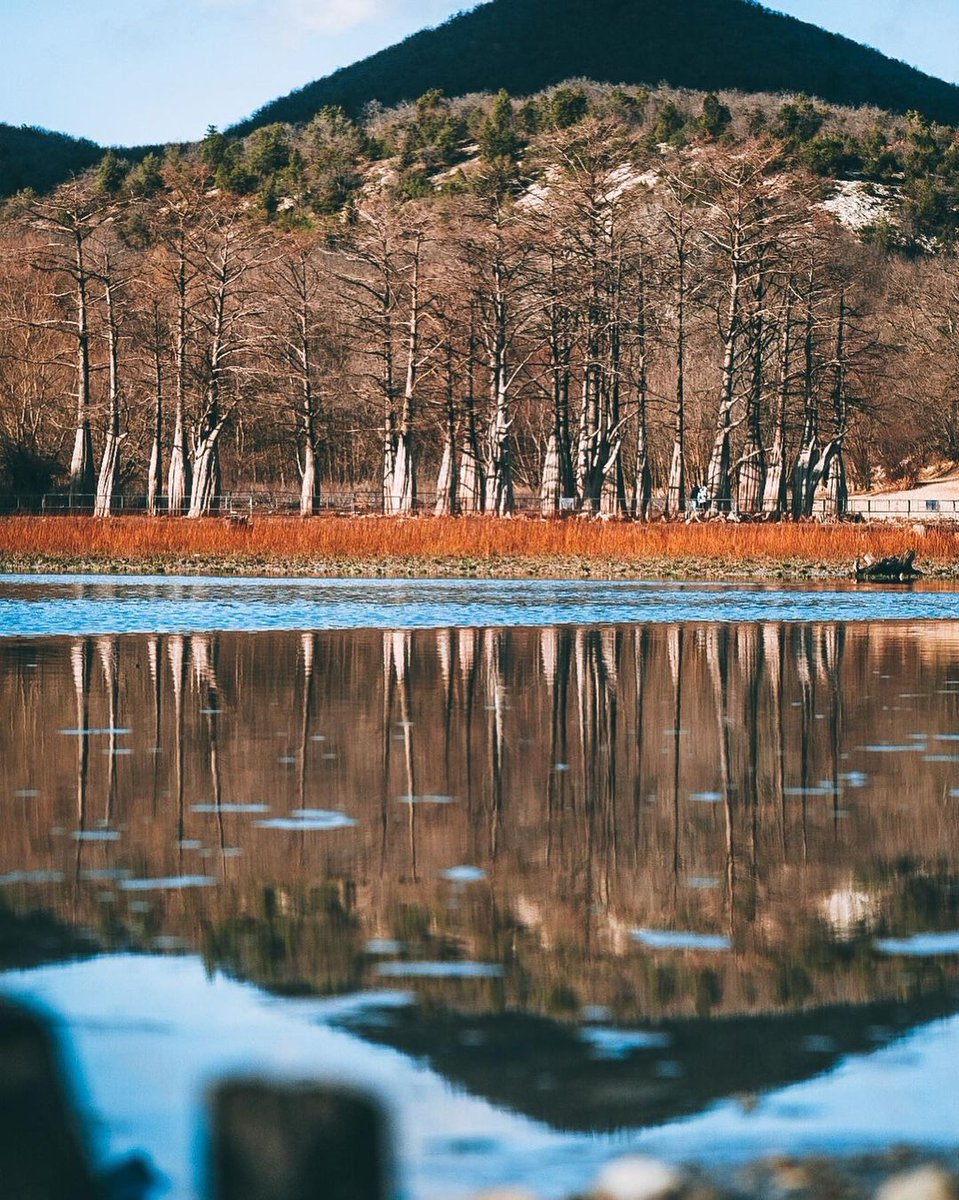 Кипарисовое озеро сукко зимой