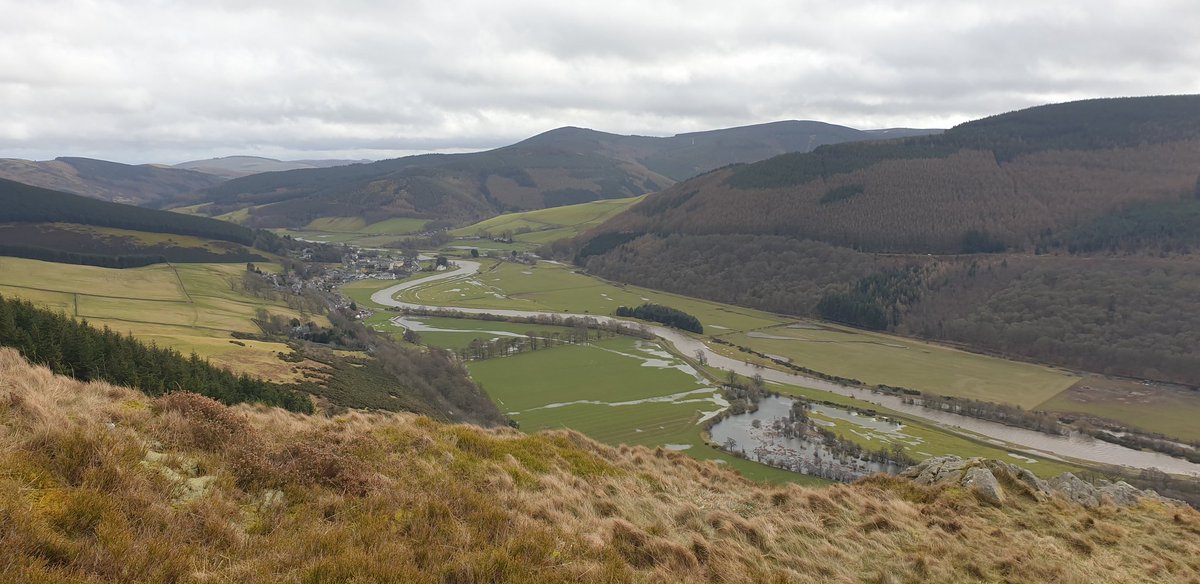 Amanda Bell tweet media