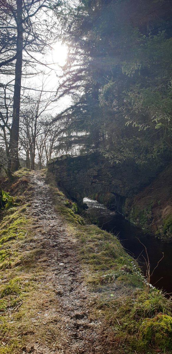Amanda Bell (@catbell74) on Twitter photo Walked up a new hill route from the house today and found some really stunning views🙂 #scottishborders #innerleithen #staylocal #milesformind #scotland #MentalHealthMatters <a href="/MindCharity/">Mind</a> <a href="/runr_uk/">Runr</a> <a href="/UKRunChat/">UKRunChat</a> <a href="/TweedGo/">GO Tweed Valley</a> <a href="/angie_weather/">angie phillips</a> <a href="/Walk_Borders/">WalkScottishBorders</a> <a href="/walkhighlands/">walkhighlands</a> Walked up a new hill route from the house today and found some really stunning views🙂 #scottishborders #innerleithen #staylocal #milesformind #scotland #MentalHealthMatters <a href="/MindCharity/">Mind</a> <a href="/runr_uk/">Runr</a> <a href="/UKRunChat/">UKRunChat</a> <a href="/TweedGo/">GO Tweed Valley</a> <a href="/angie_weather/">angie phillips</a> <a href="/Walk_Borders/">WalkScottishBorders</a> <a href="/walkhighlands/">walkhighlands</a>