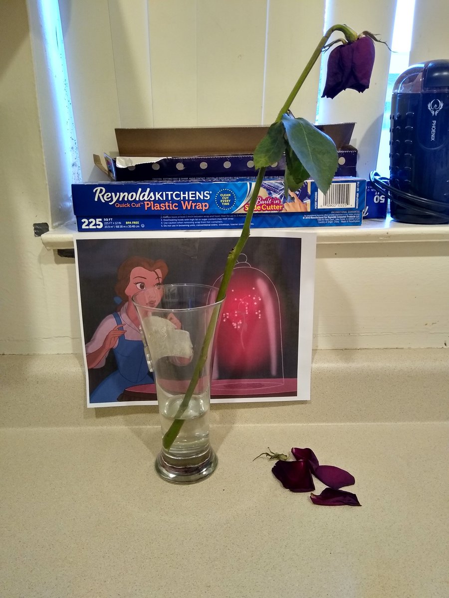 The rose my husband got me for Valentine's day apparently started wilting last night and I woke up to this: