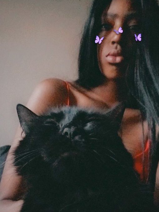 🖤Black lives matters🖤 Black cats too🖤 https://t.co/RHVhBtNRwW