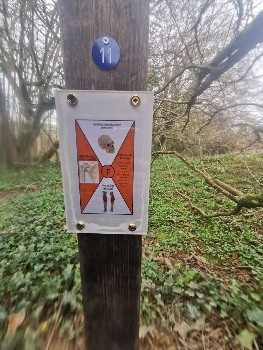 Pe specific orienteering set up ready for students to return!