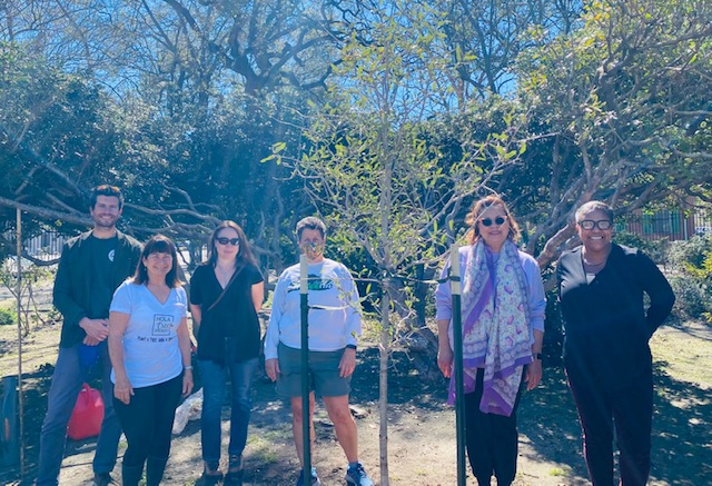 Nola Tree Project tweet media