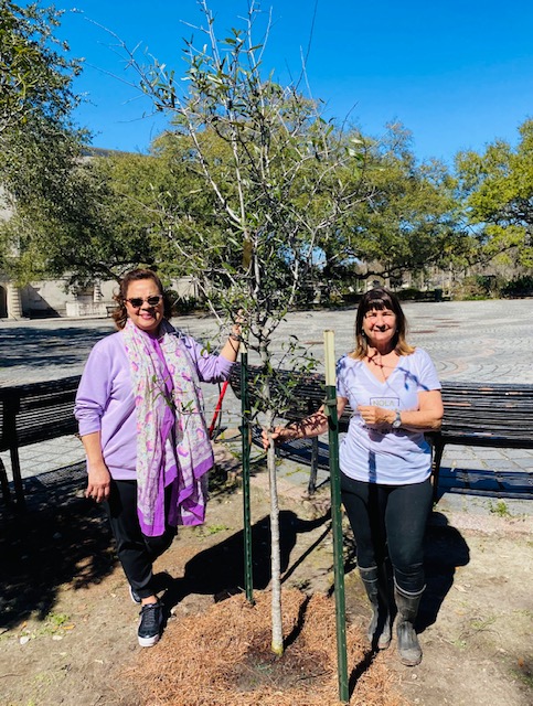 Nola Tree Project tweet media