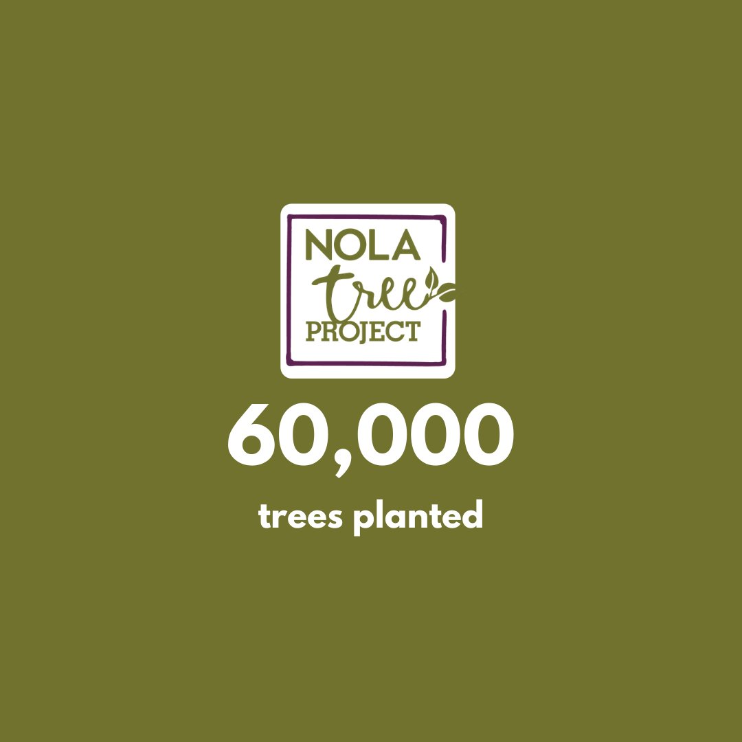 Nola Tree Project tweet media
