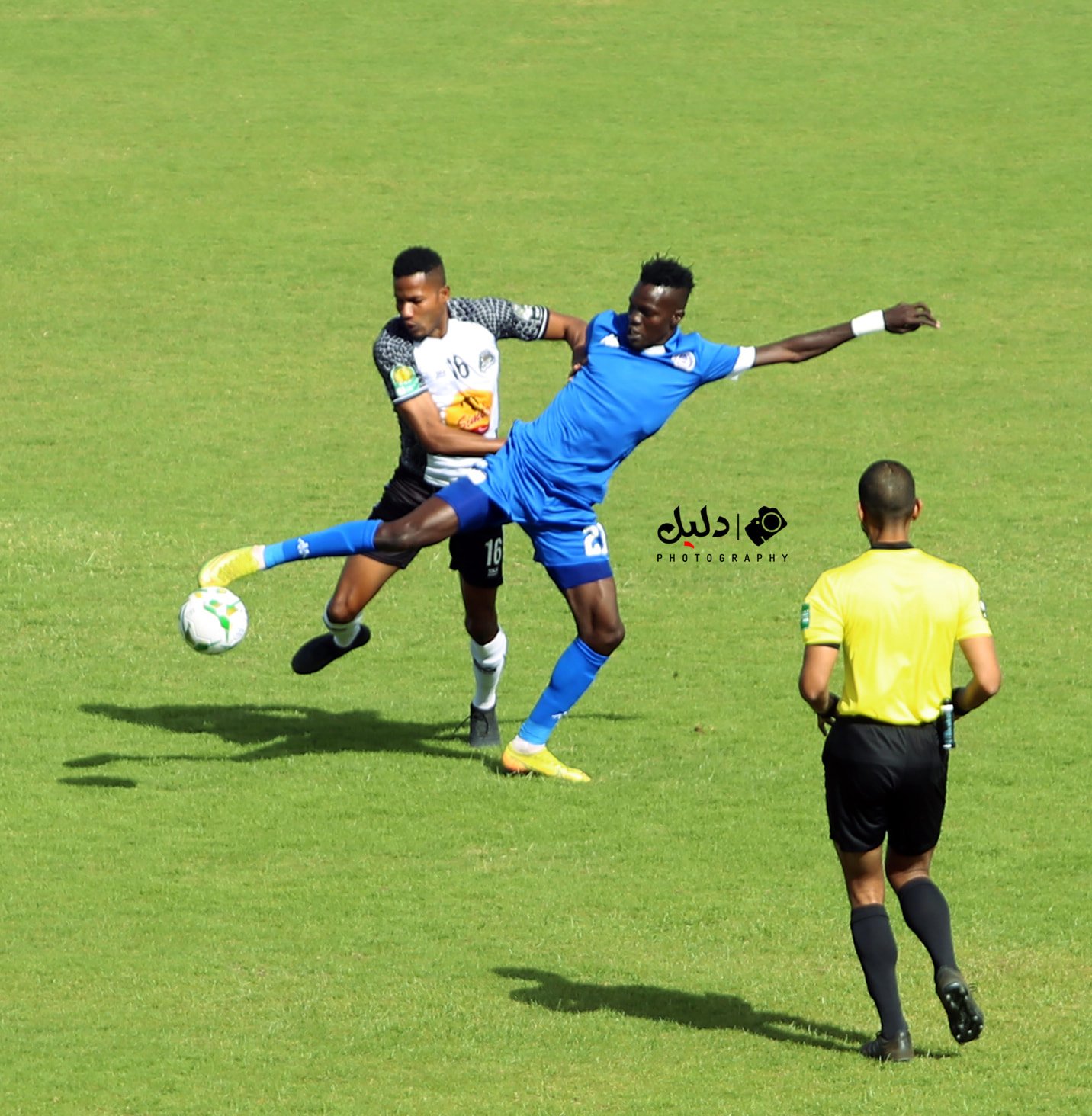 صحيفة الهلال السوداني