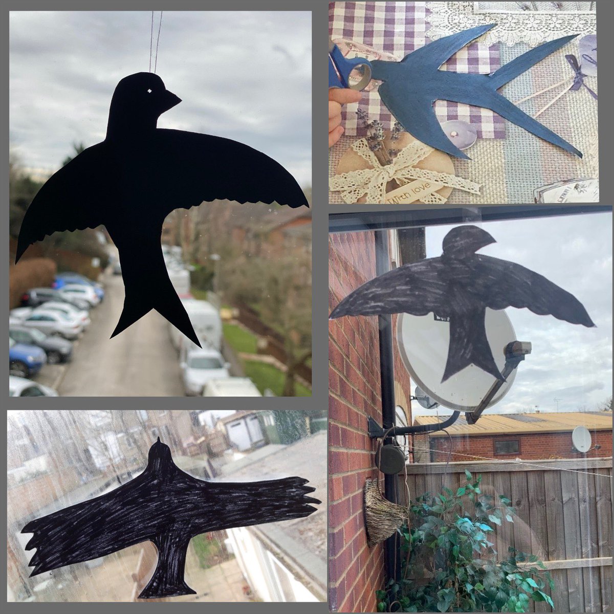 YuRami07's tweet photo. Today Mulberry class has created their own window birds. We are delighted to share their work. @MissTurner2019 @Centralprimary @MissCWhite1 #creativityiscentral https://t.co/xZDWWSyXz6