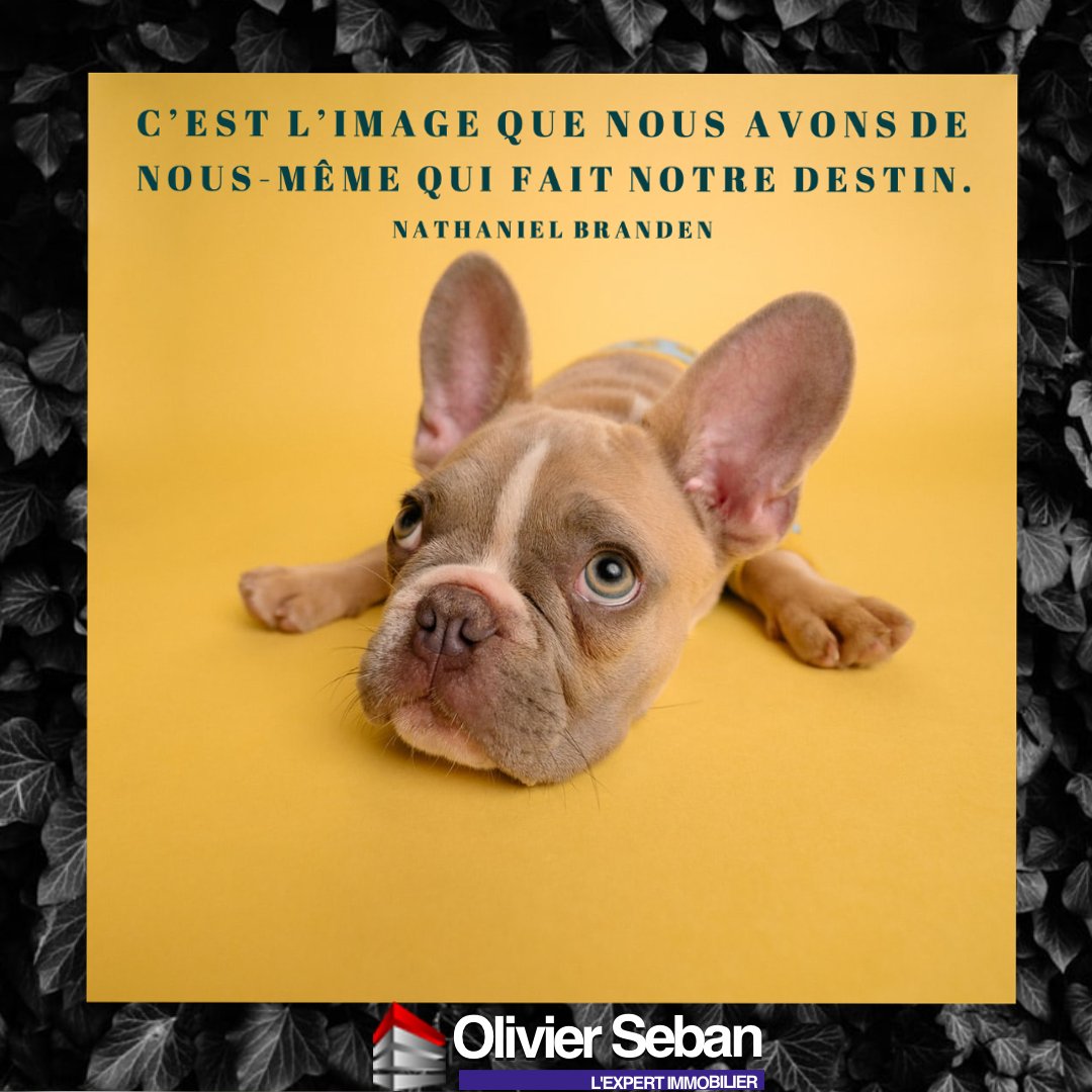 تويتر Olivier Seban على تويتر Fais De Ta Vie Un Reve Et Ton Reve La Realite Alors Crois En Toi Et Depasses Toi Reve Realite Bonheur Miroir Changedevie Reussite