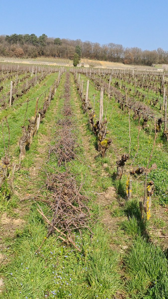 Château de Chaintres tweet media