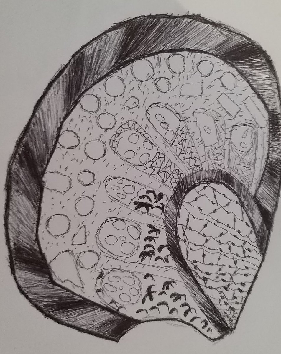 Willows Art tweet media